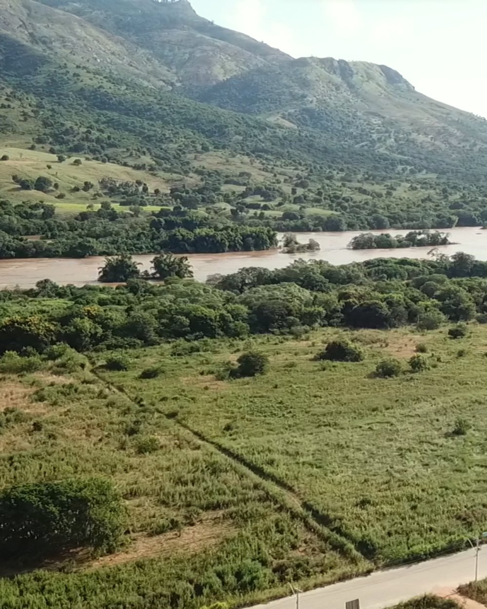 Campo dos Ipês
