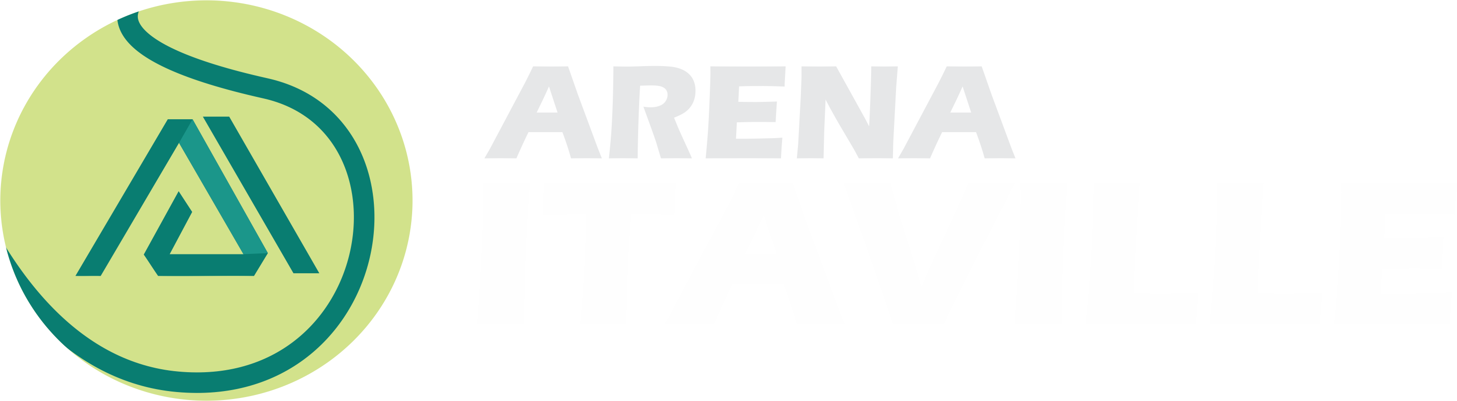 Arena Itaville